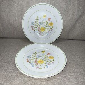 Corelle by Corning Meadow Pattern  Set Of 3 Dinner Plate 10 1/8" 1977-1985 U.S.A
